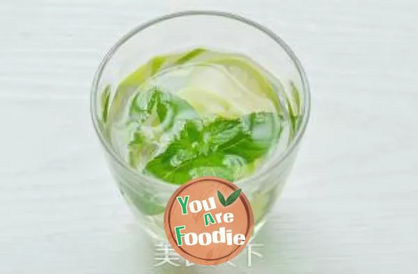 Mojito Cocktail