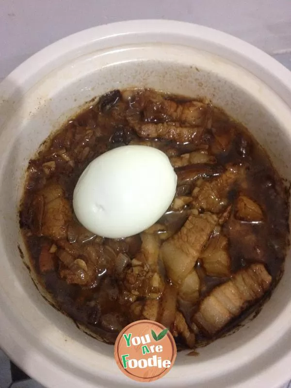 Rice with Stewed Pork