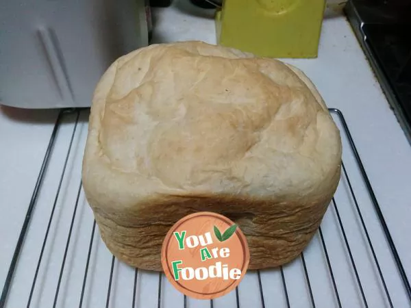 Whole wheat yogurt bread