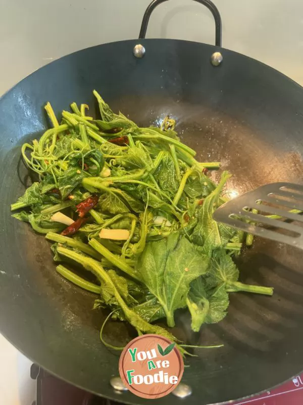 Stir fried pumpkin leaves