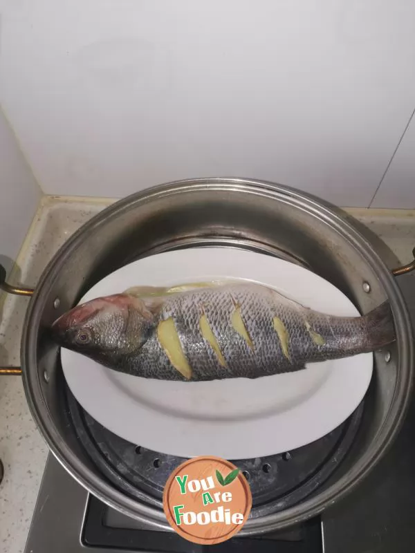 Steamed Perch