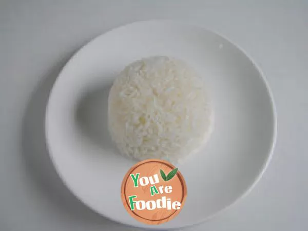 Indian curry diced chicken rice