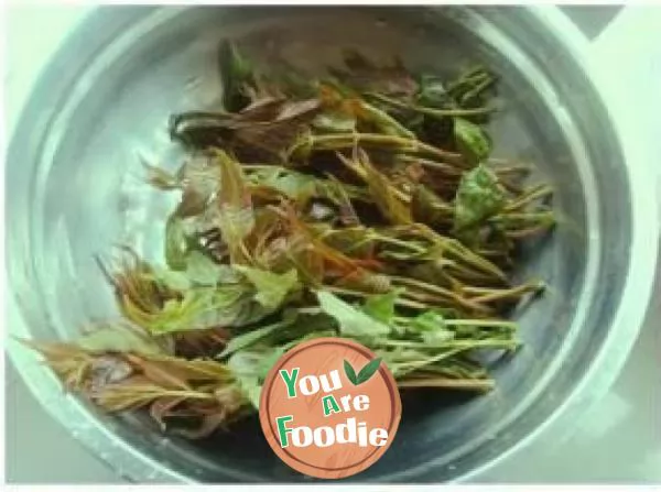Fried eggs with Chinese toon sprouts