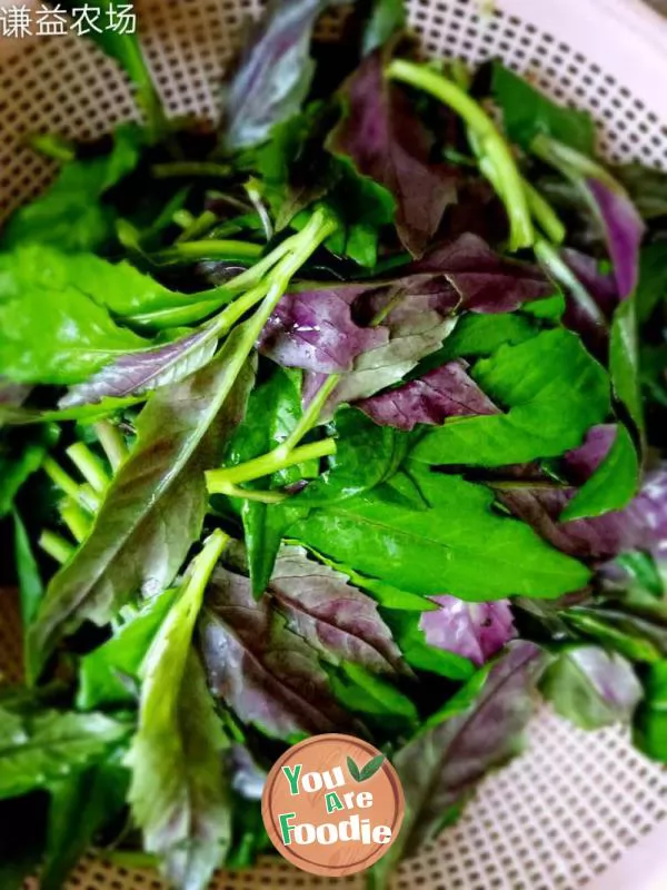 Stir fried Guanyin dish with minced garlic