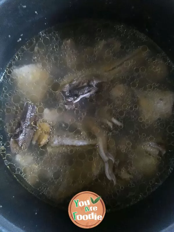 Squid-duck-soup