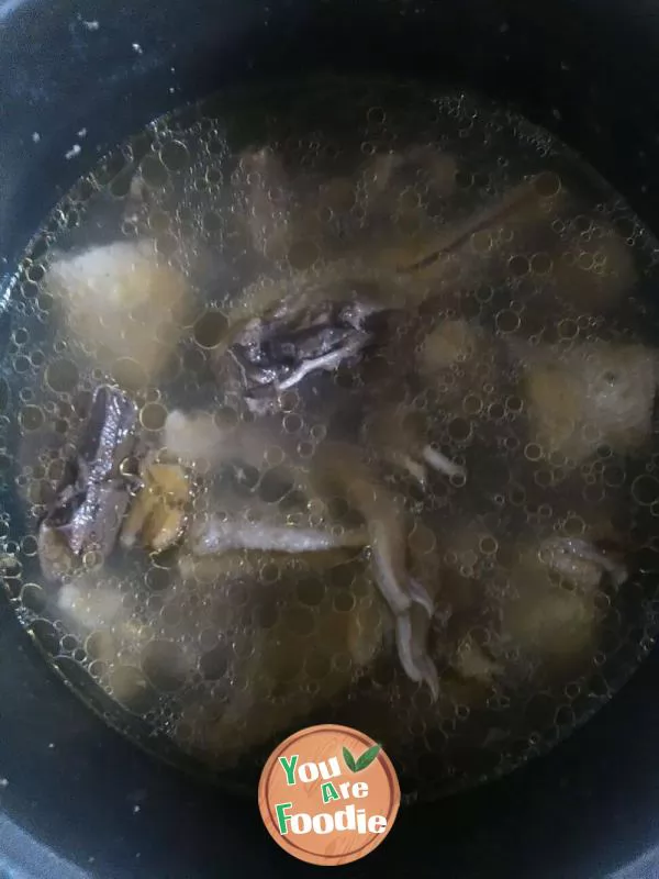 Squid duck soup