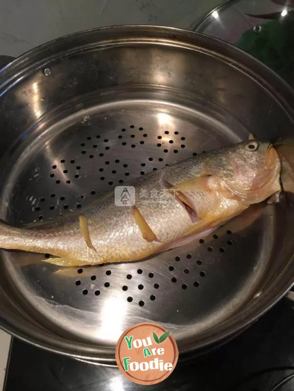 Steamed Yellow Croaker 