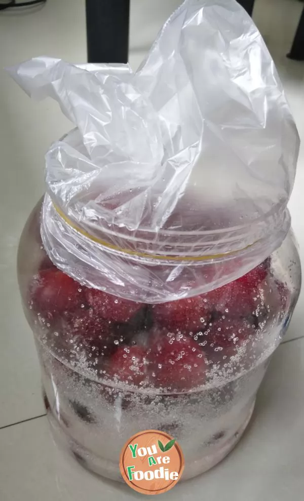 Fermented bayberry wine