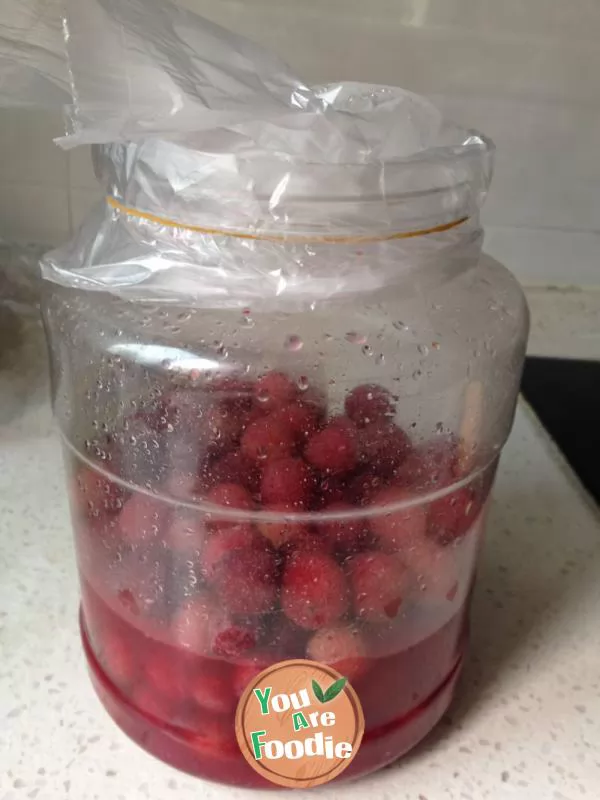 Fermented bayberry wine