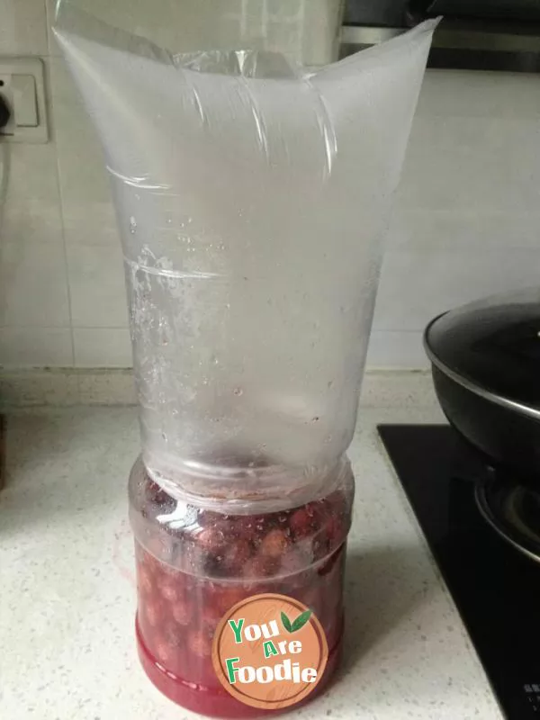 Fermented bayberry wine