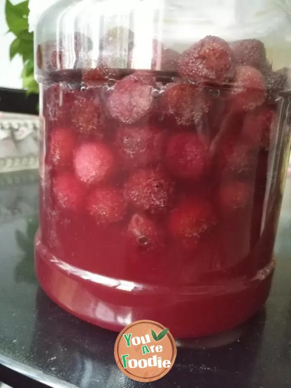 Fermented bayberry wine